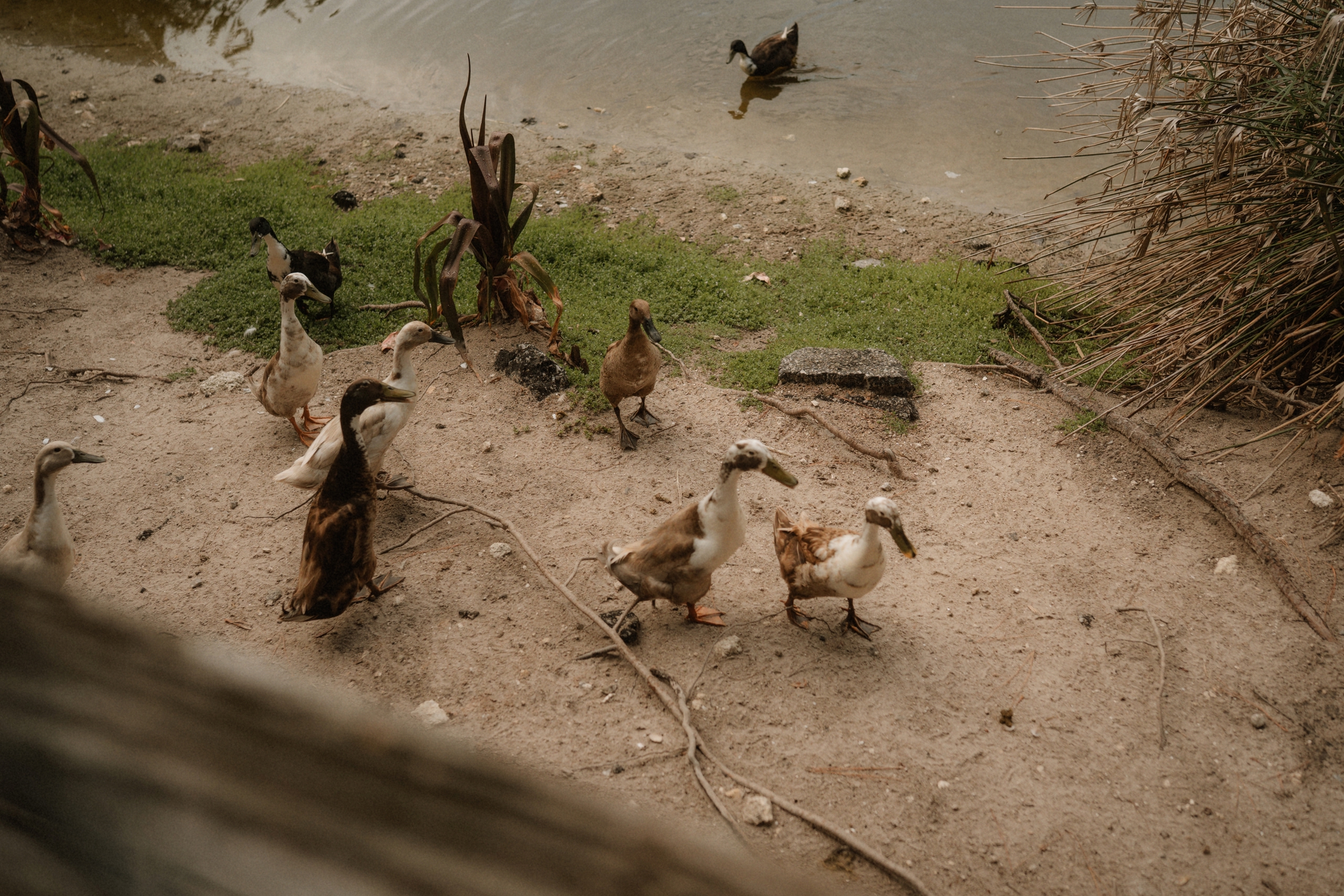 documentary photography vs. cinematic photography