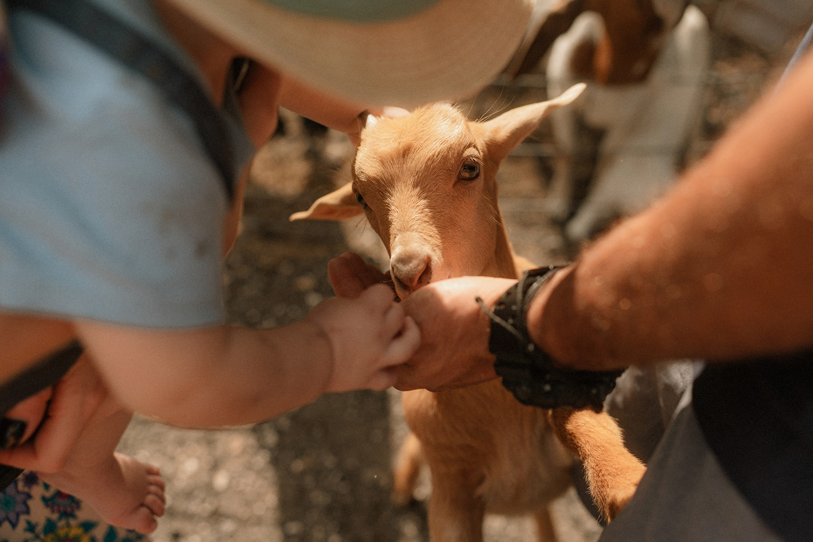 Florida Documentary Photography