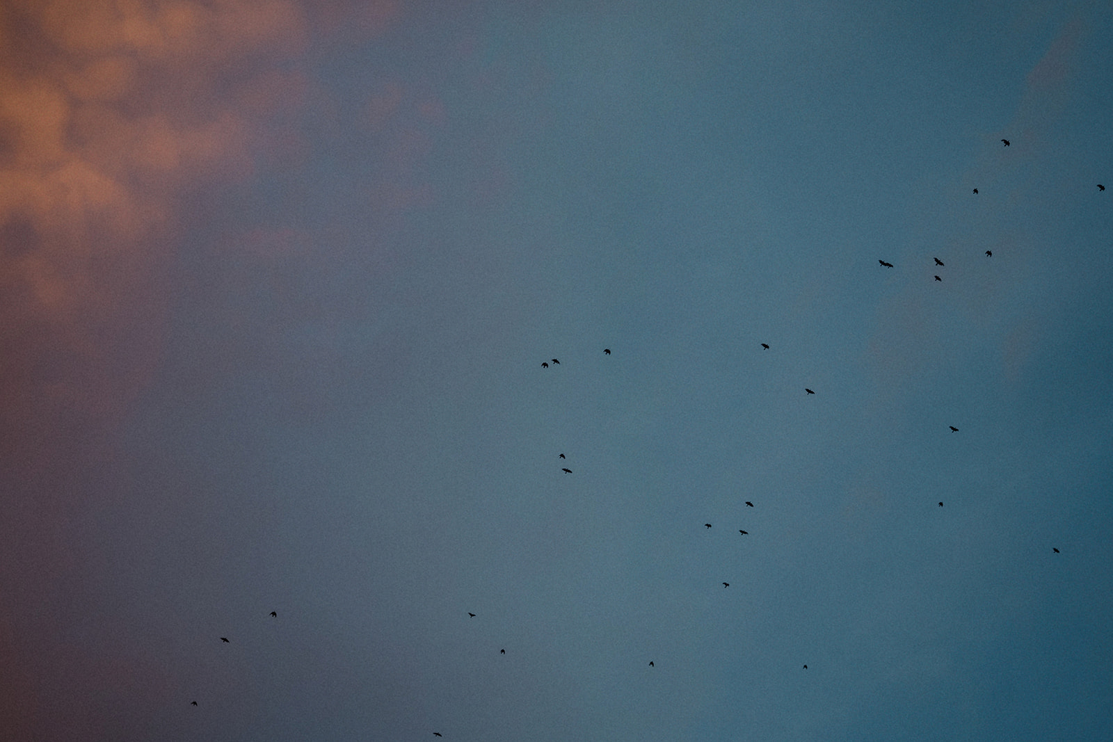 Blue Hour Photography
