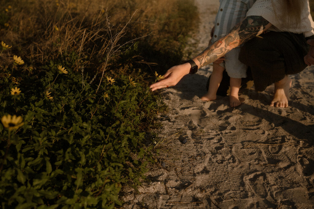 Family walking through by sea grass during a storytelling family session in Tampa Bay