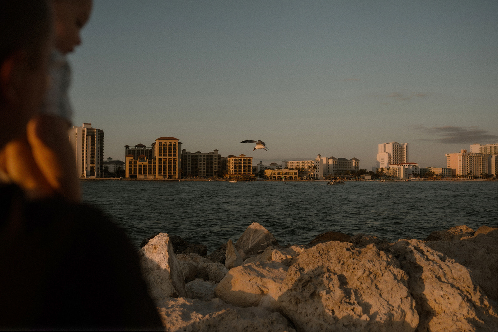 Tampa Bay Family Photographer