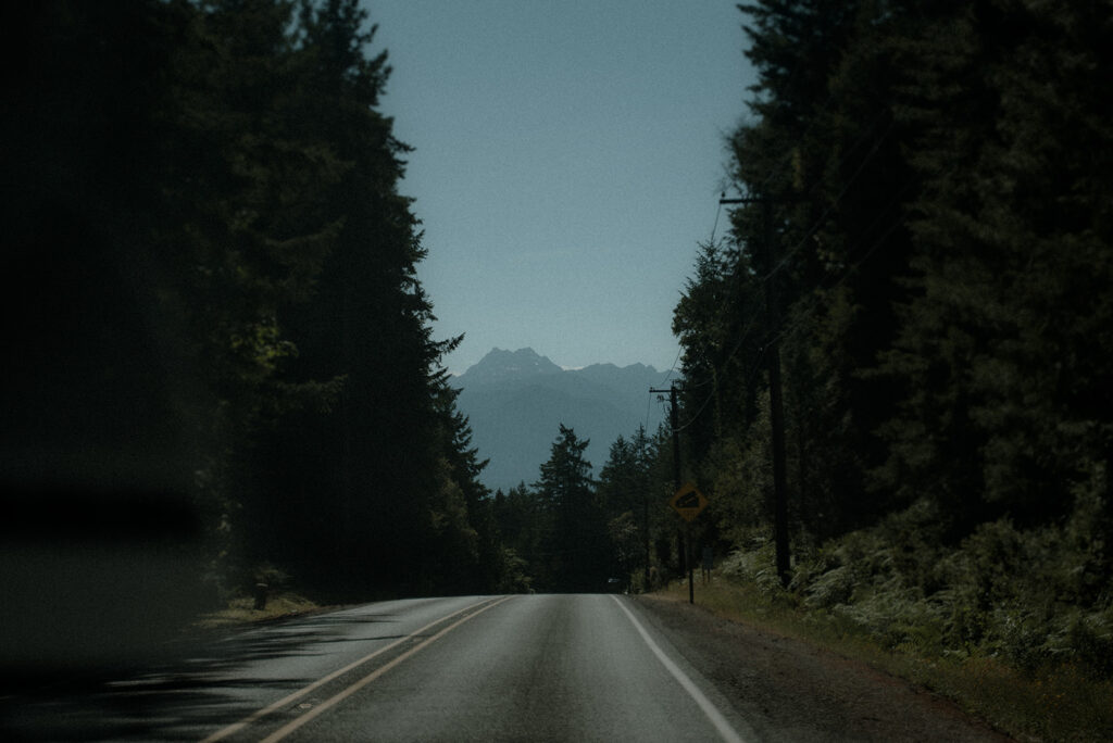 Evergreen forest in Washington where quiet moments inspired documentary family photography.